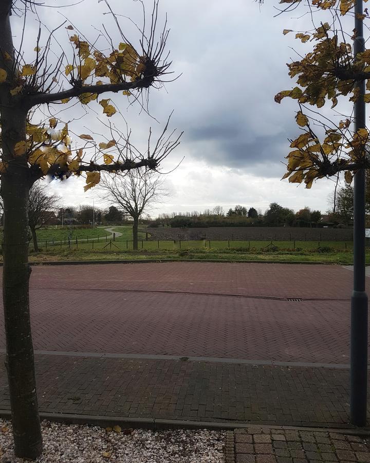 B&B Mary Vrouwenpolder Exterior foto